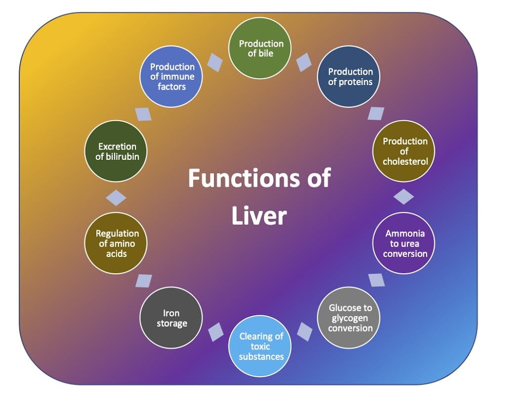 How to keep liver healthy? Dr Divakar Jain